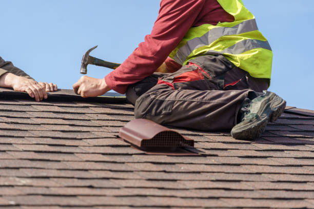 Roof Gutter Cleaning in Los Luceros, NM
