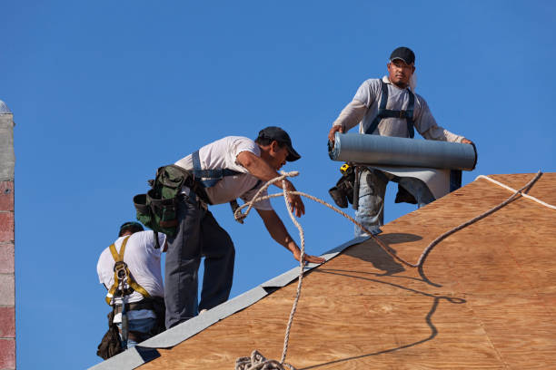 Roof Waterproofing Services in Los Luceros, NM