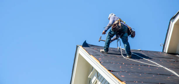 Best Gutter Installation and Roofing  in Los Luceros, NM